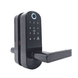 Internet Hotel Door Lock