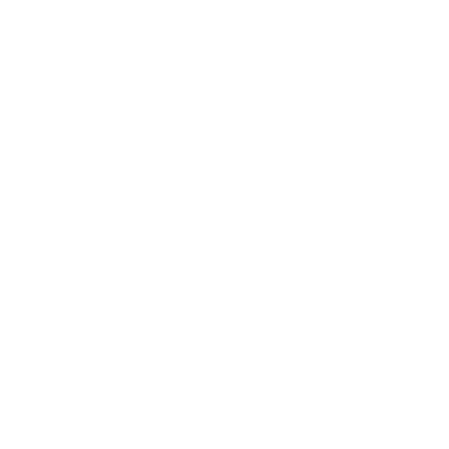 Barrier Gate High Speed
